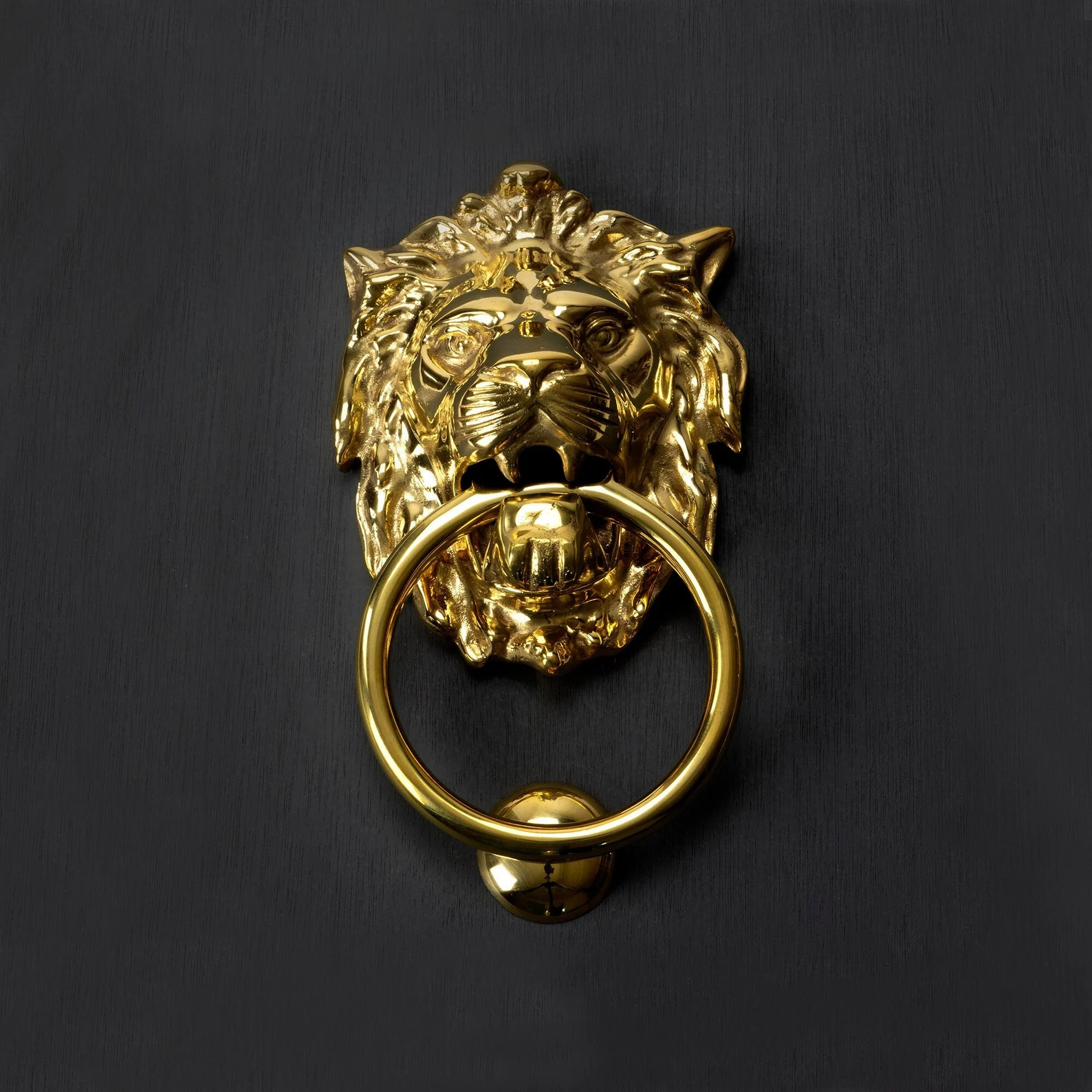 Polished Solid Brass Lion Head Ascot Knocker For Wood Timber Door